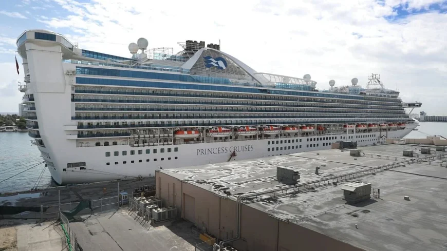 Princess Cruises fait face à 115 cas d’épidémie à Norovirus