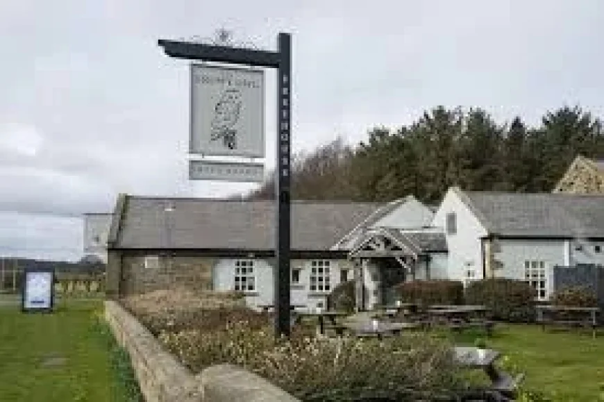 Snowy Owl in Cramlington ranks in top ten dog-friendly venues