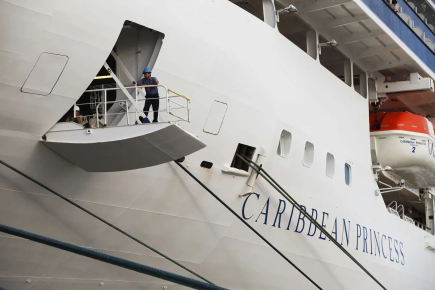 Caribbean Princess: Tva Plus reports 115 norovirus cases