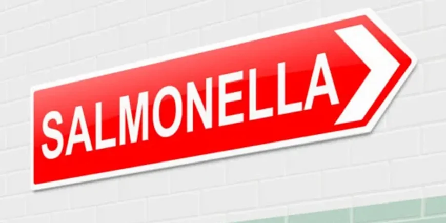 Belgian committee examines Salmonella rule changes — Food Safety News