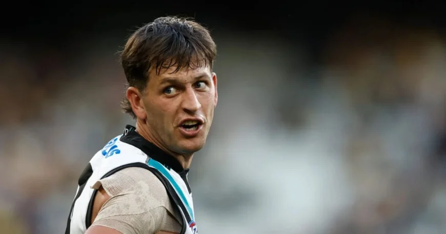 Steven King Says Melbourne May Miss Zak Butters Race — Afl Trade News Zak Butters