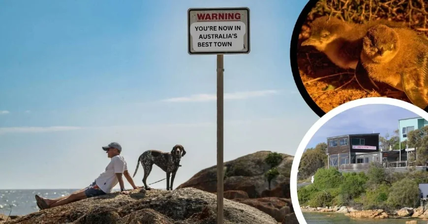 Bicheno tops Australia’s best town list, Bowral appears in rankings