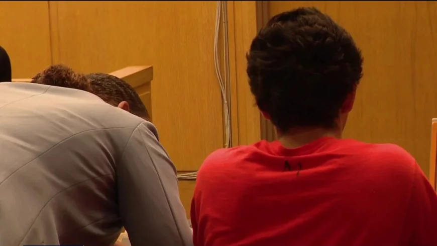 Daniel Moreno Gama Pleads Not Guilty in Populism Case
