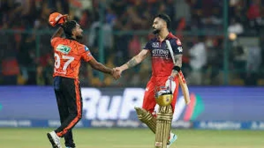 RCB Surge to 94.82% Probability in Ipl Match Today Live