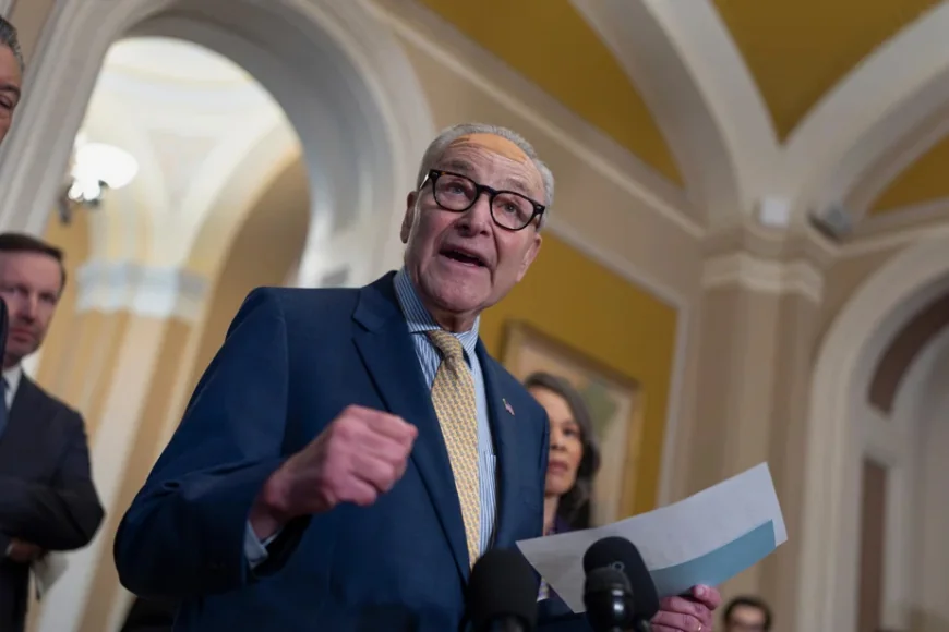 Schumer Attacks $1 Billion Salle De Bal Funding Plan