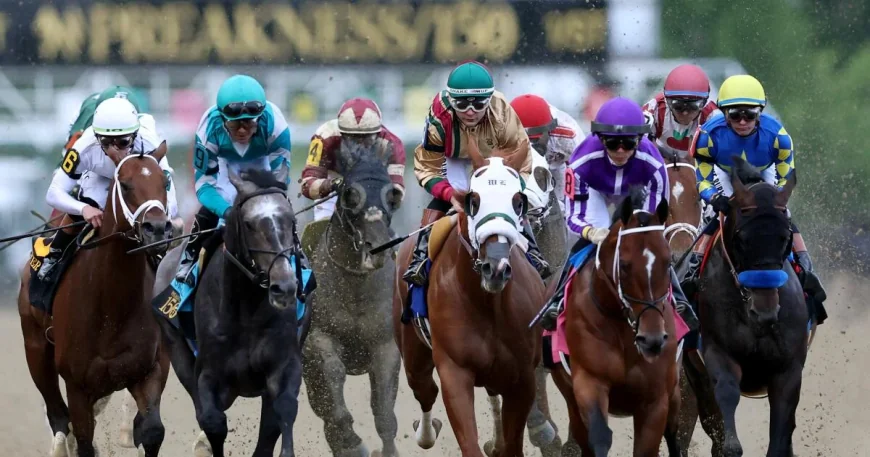 Taj Mahal draws rail, opens at 5-1 for Preakness 2026 Horses