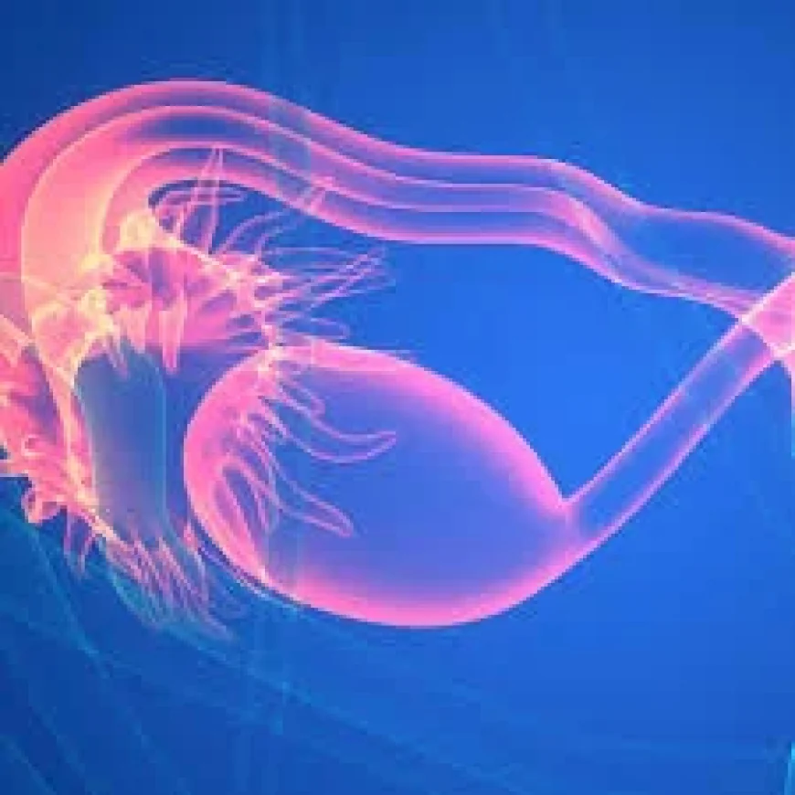Teede Renames PCOS to Pmos After 14 Years