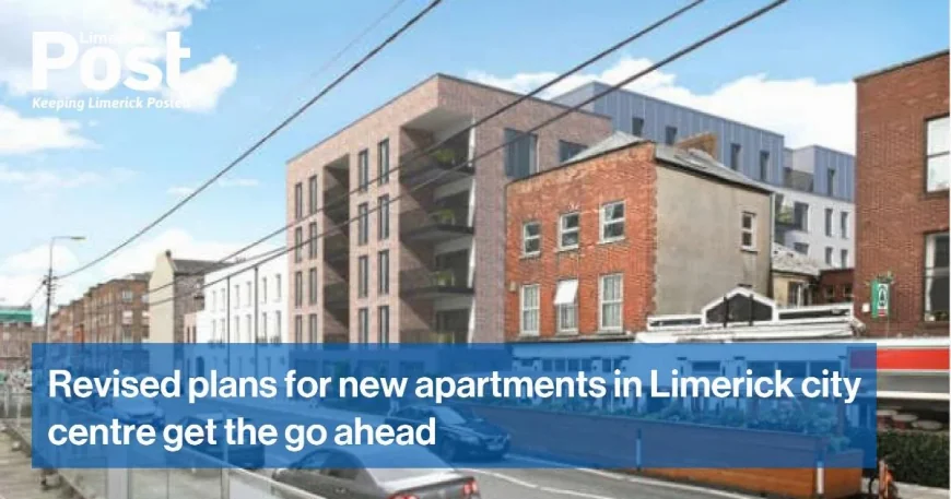 Limerick councillors back city task force request to Martin and Harris