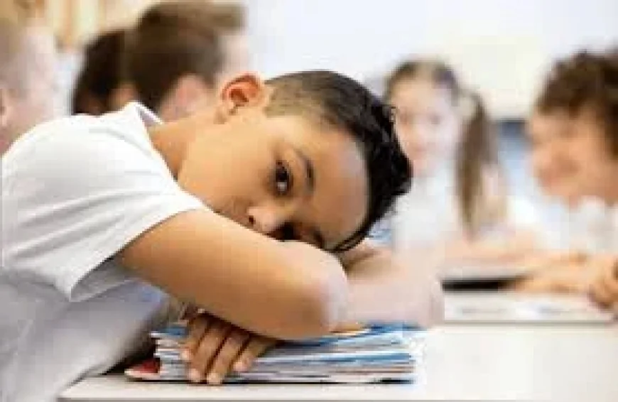 Centre for Policy Research on Men and Boys chairs Boys Falling Behind In School commission