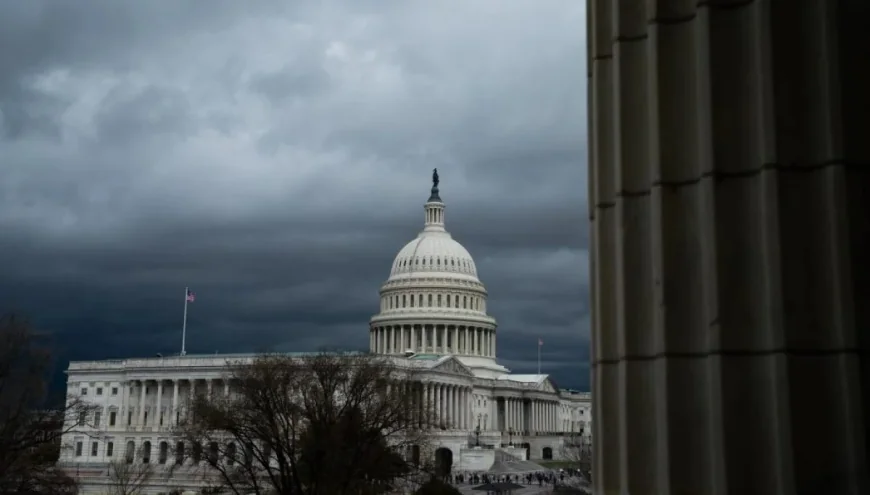Gabe Amo pushes transparency as Tmz enters Congress