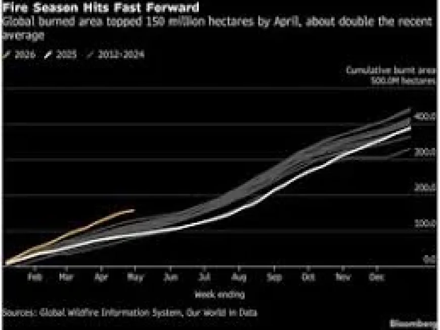 El Niño Weather Drives Worst Start to Wildfire Year