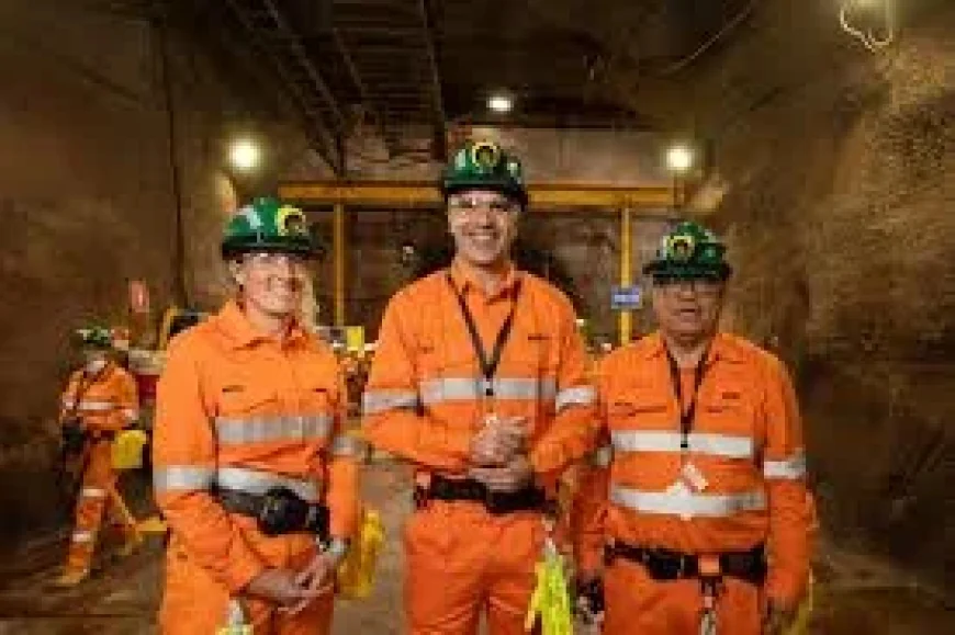 Bhp Share Price Gains Appeal as Copper Beats Gold