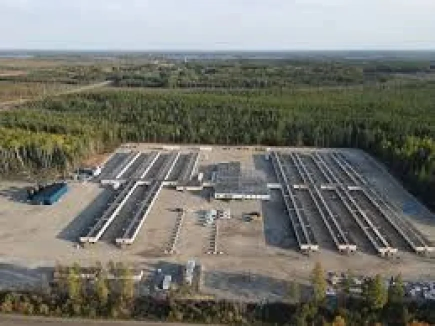 Equinox Gold Agrees to Buy Orla Mining for US$5.1 Billion