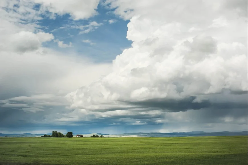 Weather Calgary: Alberta faces 70-90 km/h gusts Thursday afternoon