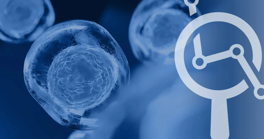 Monash-led Pcos Renamed to Polyendocrine Metabolic Ovarian Syndrome