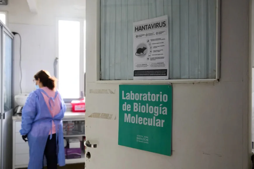 L’OMS juge faible le risque mondial de l’épidémie Hantavirus