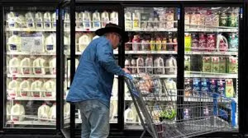 Mary Johnson Sees 3.2% 2026 Social Security Cola Projection