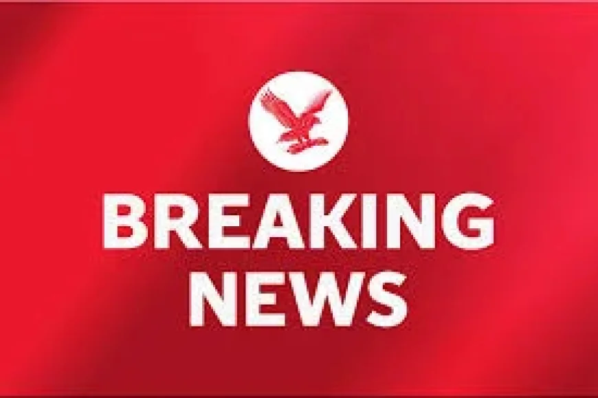 Evika Silina resigns after three drones enter Latvian airspace