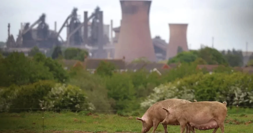 Keir Starmer Issues China British Steel Nationalization Warning Before Wednesday