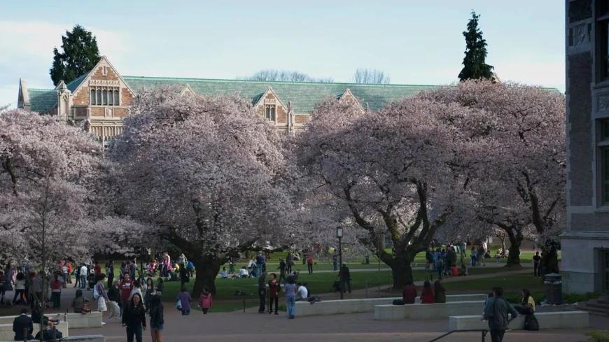 Chloe Cole postpones UW TPUSA event after safety concerns