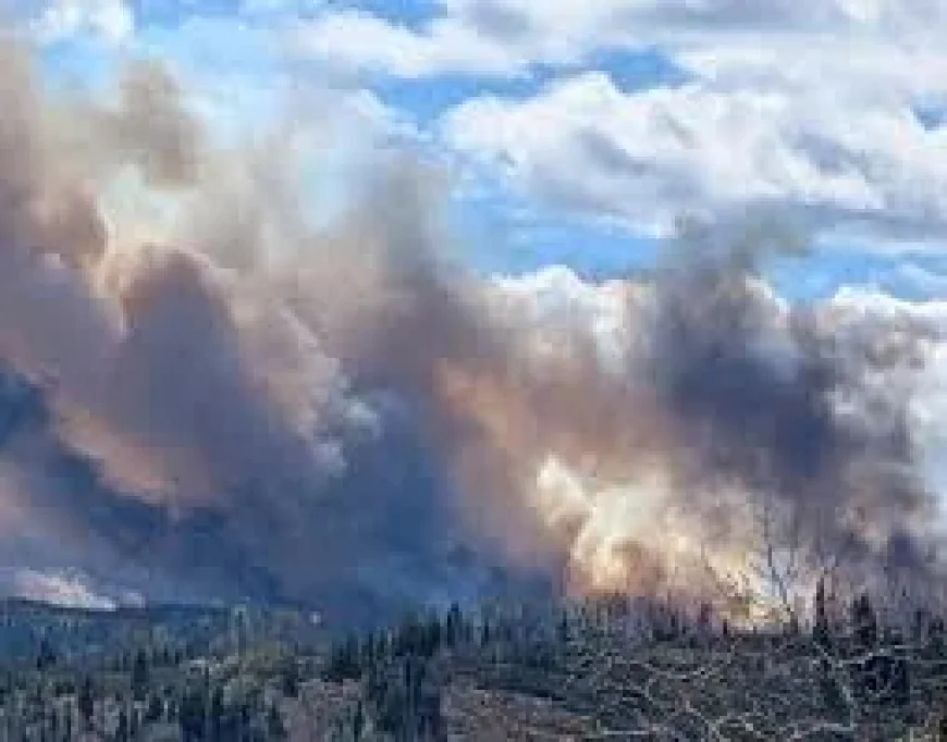 Evacuation alert issued near Sundre Fire as blaze grows
