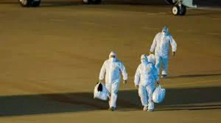 Devi Sridhar Says Hantavirus Infections Spread Risk Remains on Cruise Ship