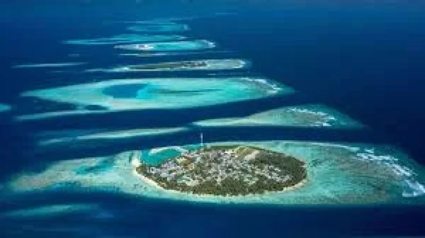 Five Italians Die in Vaavu Atoll Dive Accident