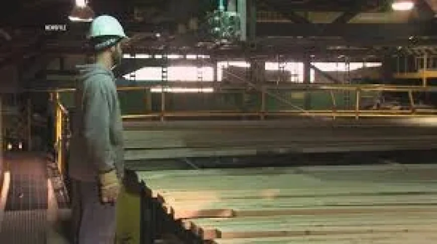 Hodgson announces $12.4-million for British Columbia forestry projects