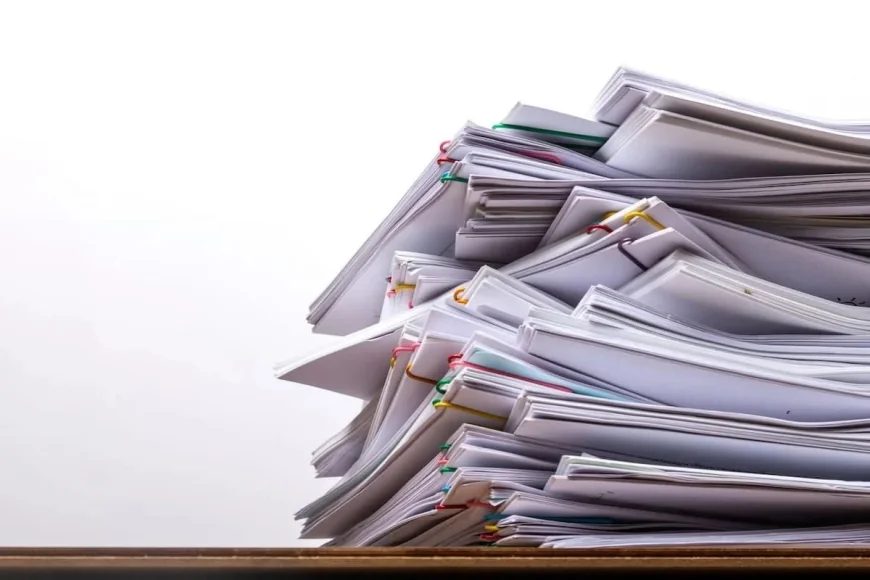 PEI archives logs 1,776 ancestry requests — Cic News Canadian Citizenship Updates