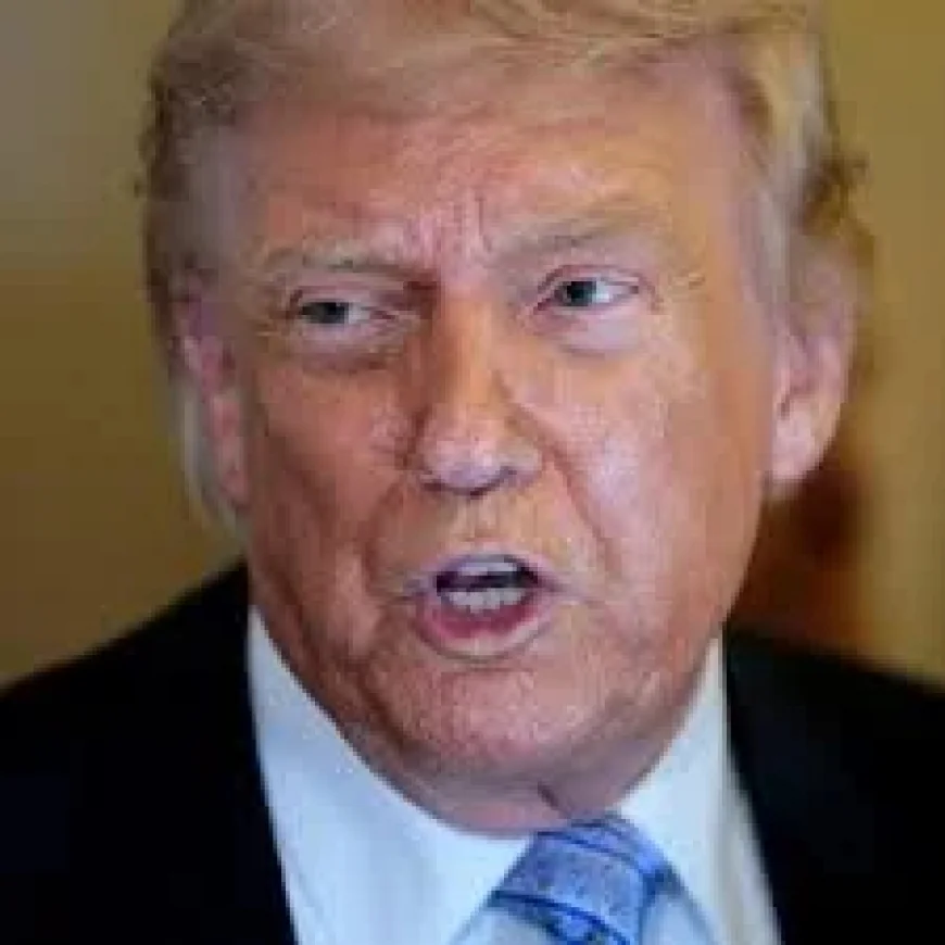 Trump Says Abu Bilal Al Minuki Killed in Nigeria
