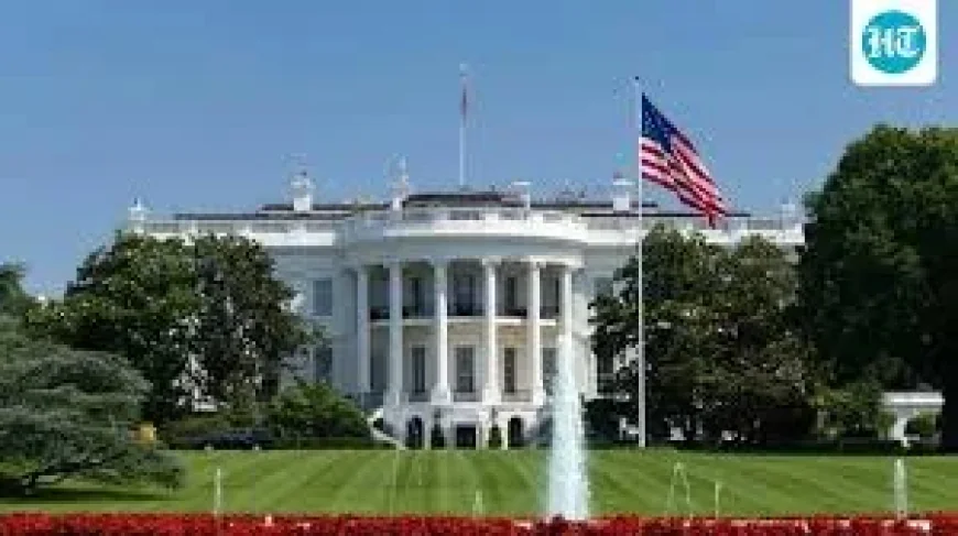 Thousands of Bees Swarm White House North Lawn, Move Into Tree Hive