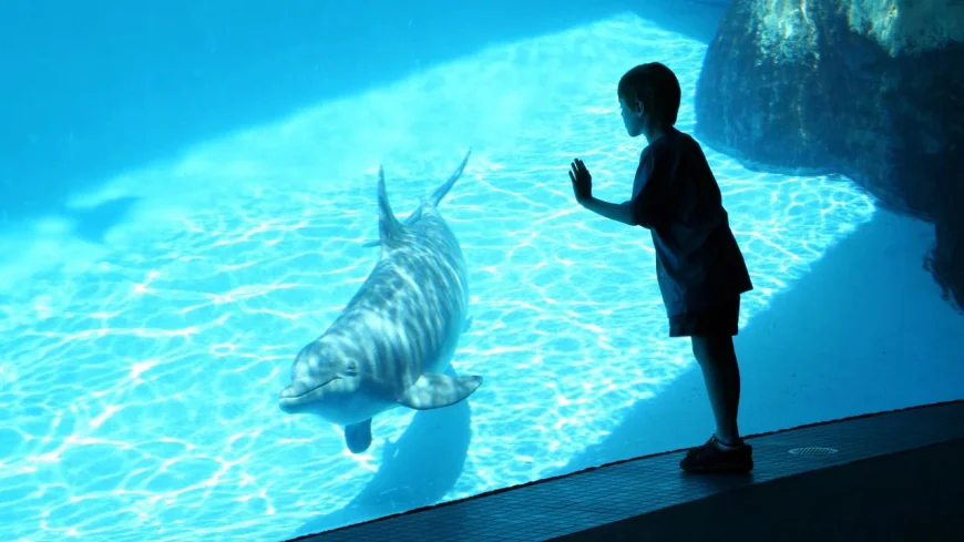 SeaWorld offers up to 55% off Seaworld Orlando tickets through May 17