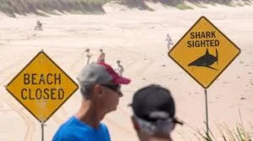 Great White Shark Kills 38-Year-Old Near Rottnest Island