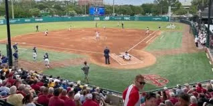 Logan Forman Helps Stetson University Beat Florida State 8-3