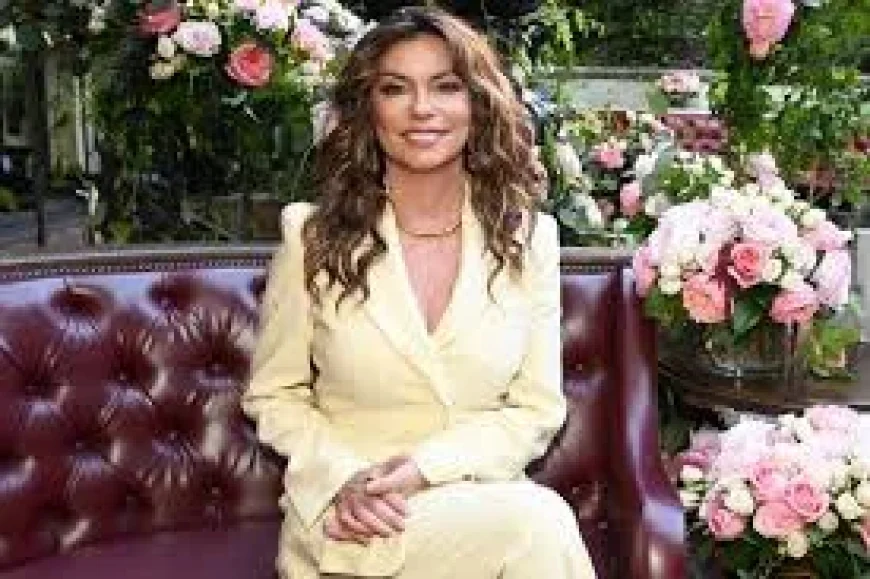 Shania Twain Limits ACM Outfit Changes on Harry Styles Tour Night