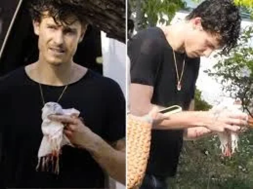 Shawn Mendes Shows Bloody Left-Hand Injury in Beverly Hills