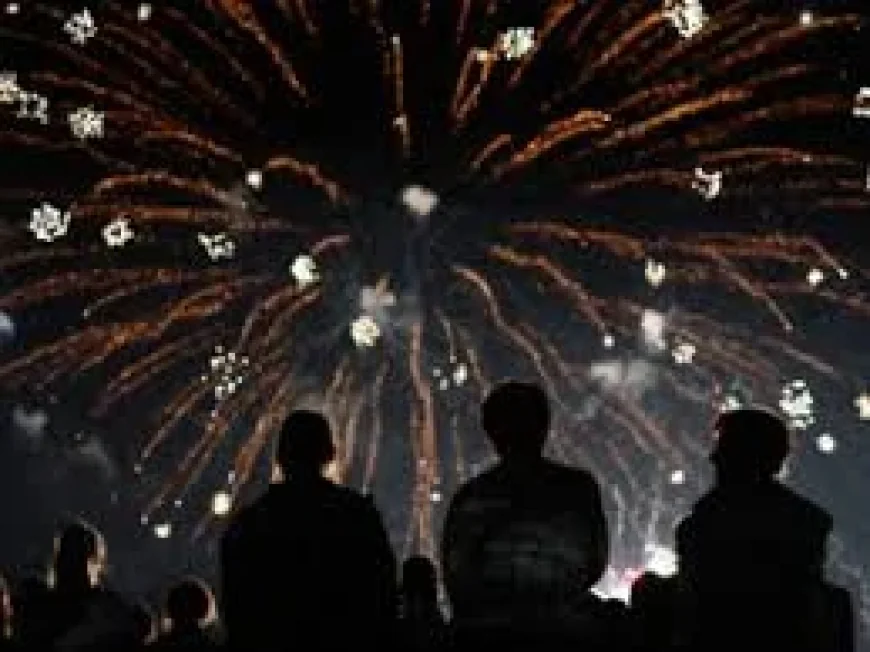 Toronto Police Increase Beach Presence for Monday Fireworks Near Me