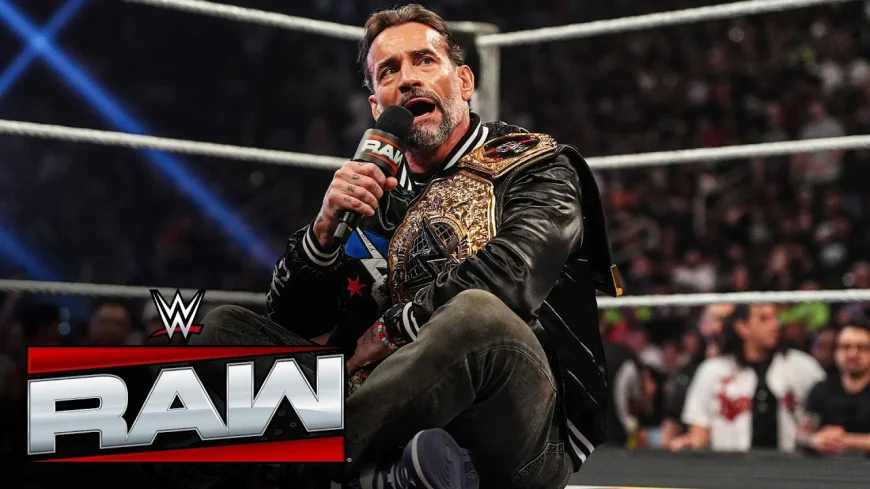 Cm Punk Removed From European Summer Tour Advertising