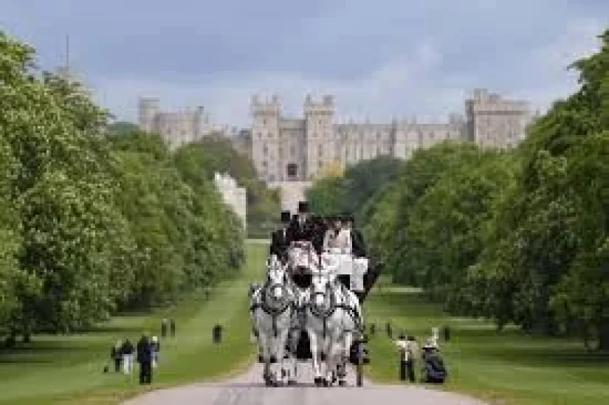 Soldier Dies After Fall at Royal Windsor Horse Show