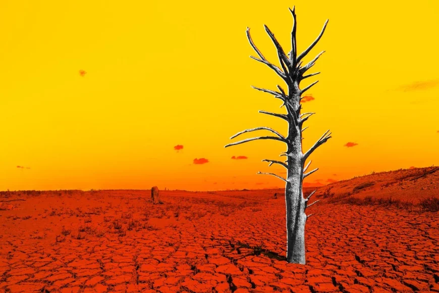 NOAA projects 4.5 degrees above normal by November — Channel 3000 Weather