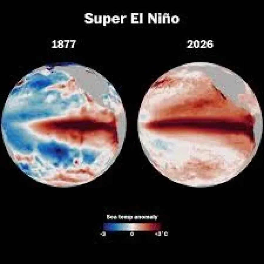 NOAA Raises Pacific Ocean El Niño Odds to Two-in-Three