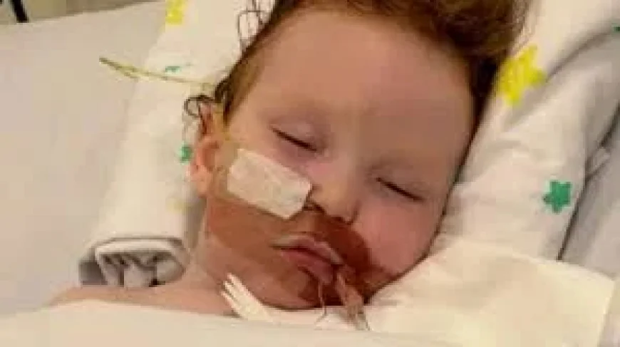 Crumb Australia Recalled Five Powders After Toddler Injury — Creative Metallic Cake Dust Recall
