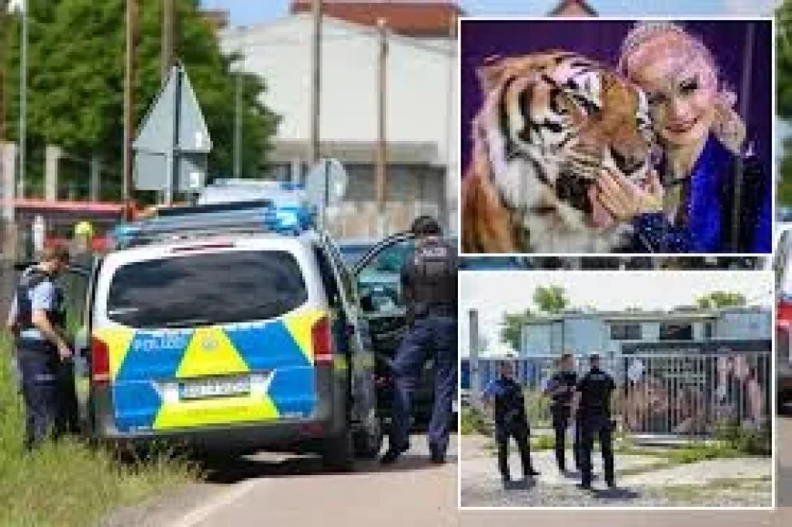 Carmen Zander tiger shot dead near Leipzig after 72-year-old attack