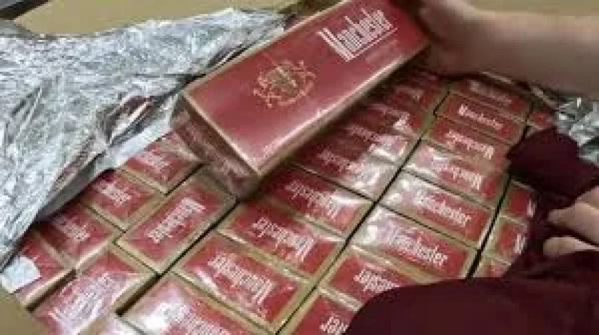 Austrac Raises Australia Illicit Tobacco Trade Storage Alarm Over 2.66bn Seizures