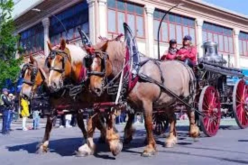 Victoria Day Canada: May Long Returns Cottage Country to Life