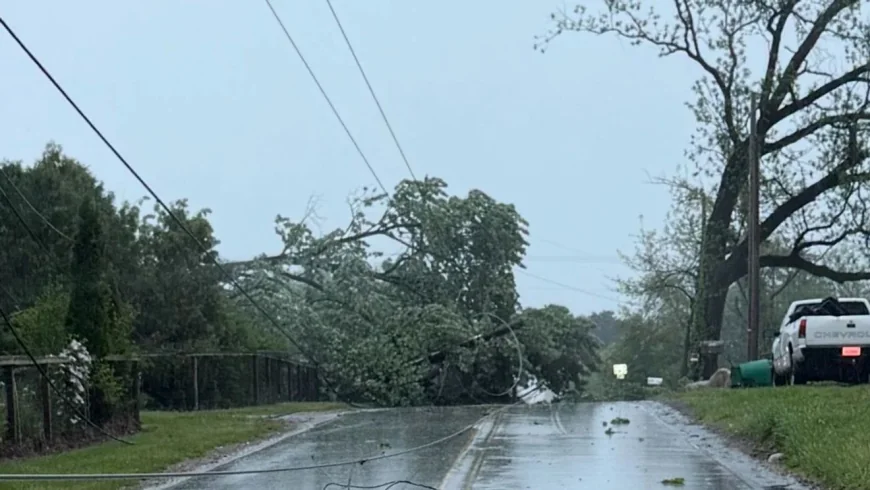 Michigan Storms Leave Outages Across the Dte Outage Map