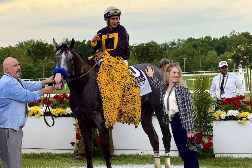 Napoleon Solo Wins Preakness Stakes in 14-Horse Laurel Park Run