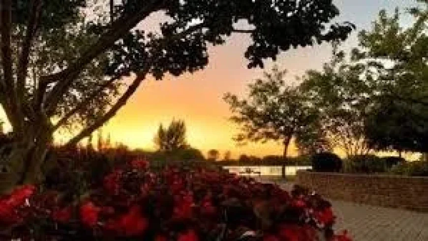 Environment Canada Issues 31 Weather Windsor Heat Warning