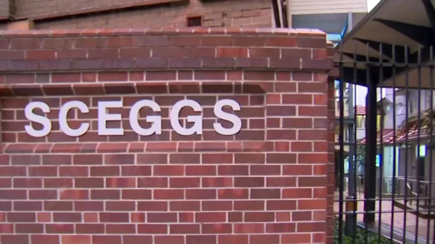Police investigate Sceggs pipe bomb allegation in Darlinghurst