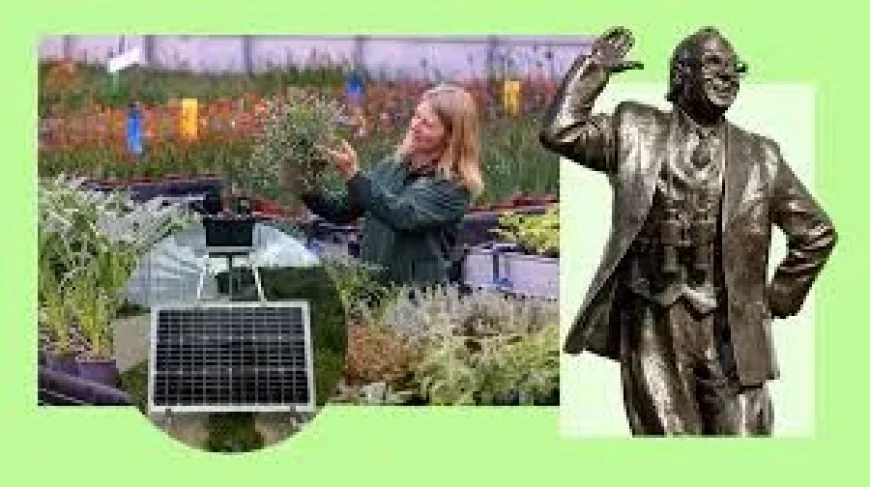 Harry Holding Reveals Eden Project Morecambe Garden at Chelsea